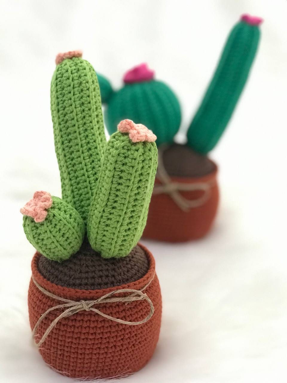 Crochet Flower Cactus, Amigurumi Flower Ornament, Crocheted Succulent for Living Room, Dining Room, Bedroom and Kitchen