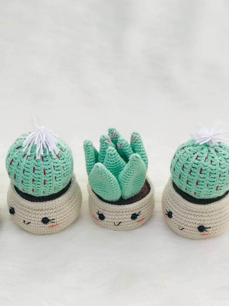 Crochet cactus with spikes, handmade plant decoration Handmade crochet cactus with spikes, potted plant decoration Crochet cactus with rounded edges, handmade home decor Handmade crochet cactus with rounded edges, small potted plant decoration