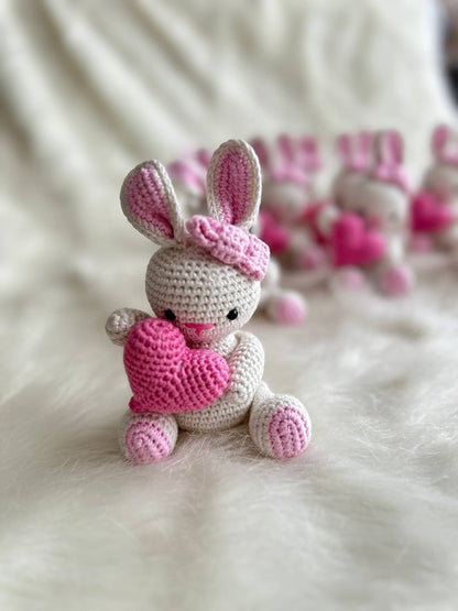 Cute Valentines bunny